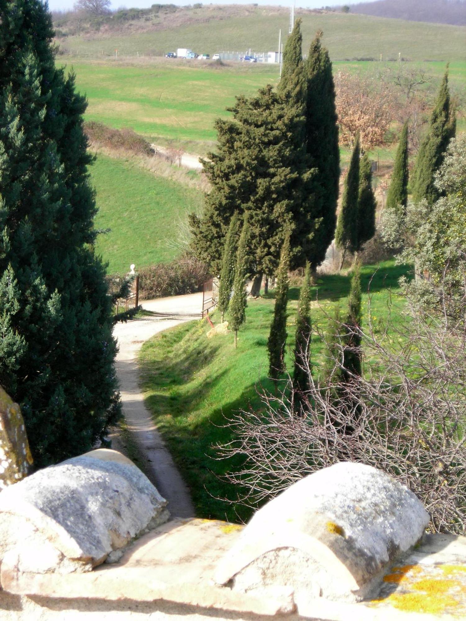 Agriturismo Il Cocco Montalcino Exteriör bild