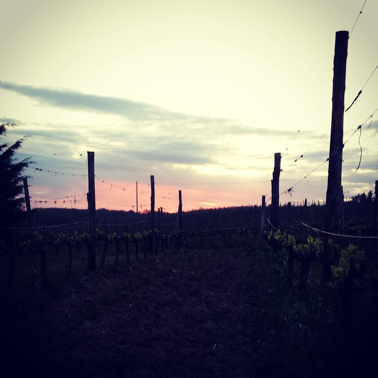 Agriturismo Il Cocco Montalcino Exteriör bild