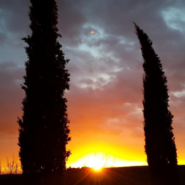 Agriturismo Il Cocco Montalcino Exteriör bild