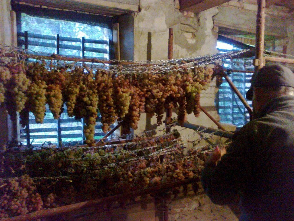 Agriturismo Il Cocco Montalcino Exteriör bild
