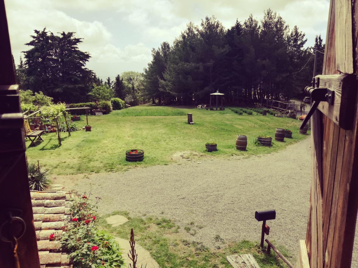 Agriturismo Il Cocco Montalcino Exteriör bild