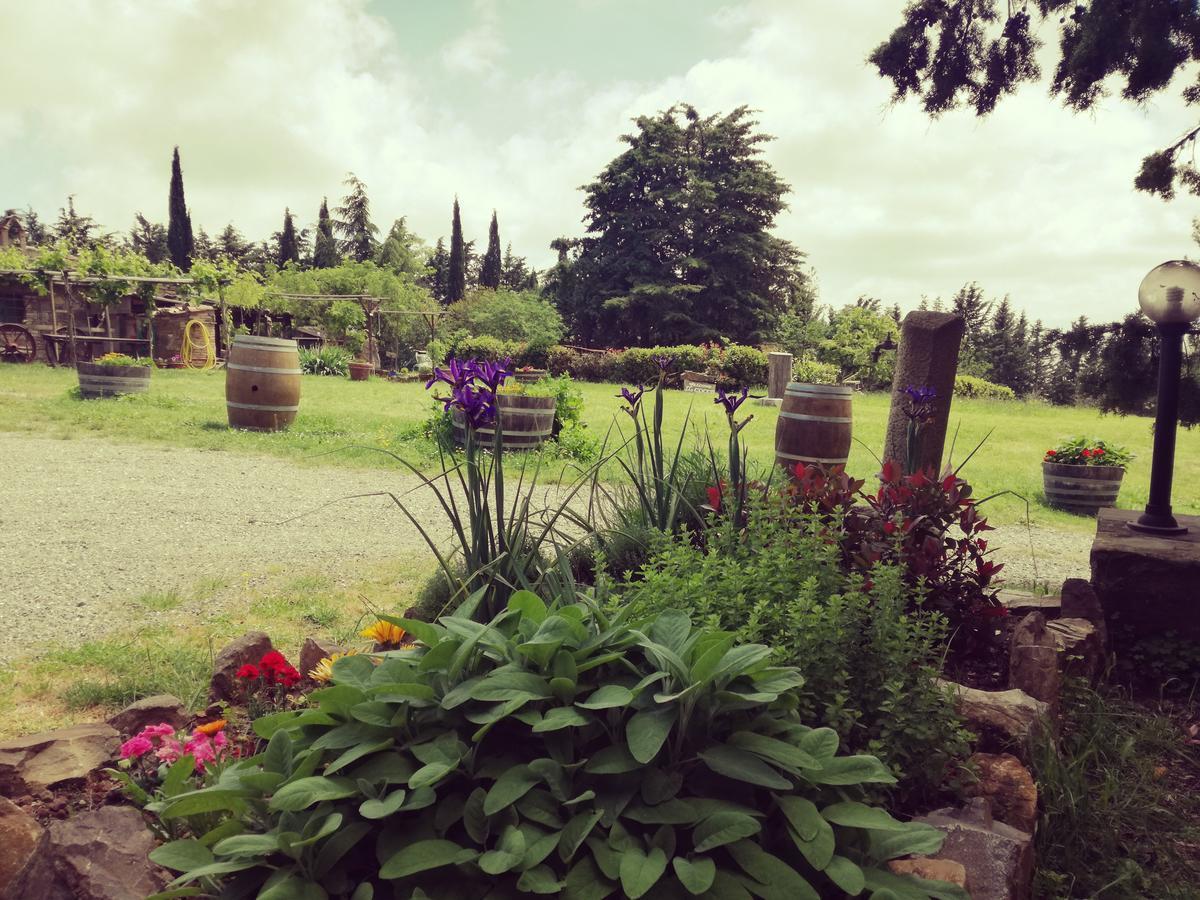 Agriturismo Il Cocco Montalcino Exteriör bild